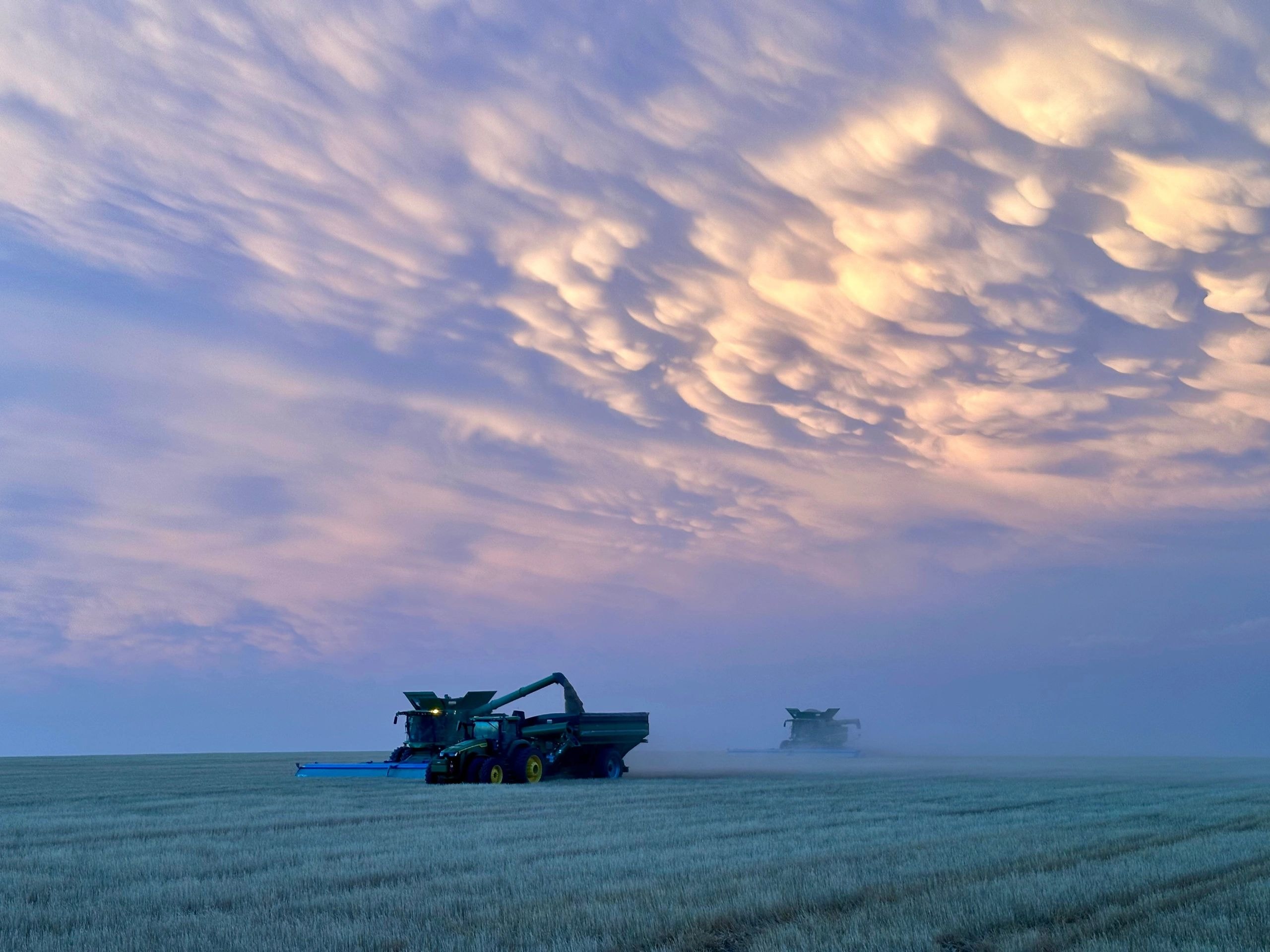 Southwest Family Farms combine harvesting grain