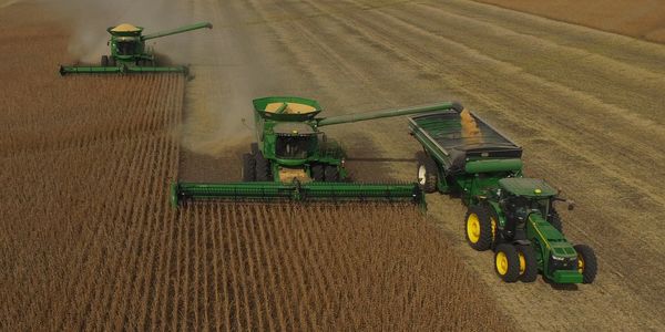 Aerial view of combine harvesters harvesting grain