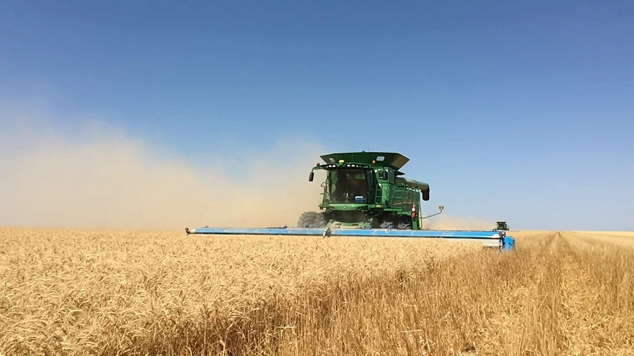 Southwest Family Farms combine harvesting wheat