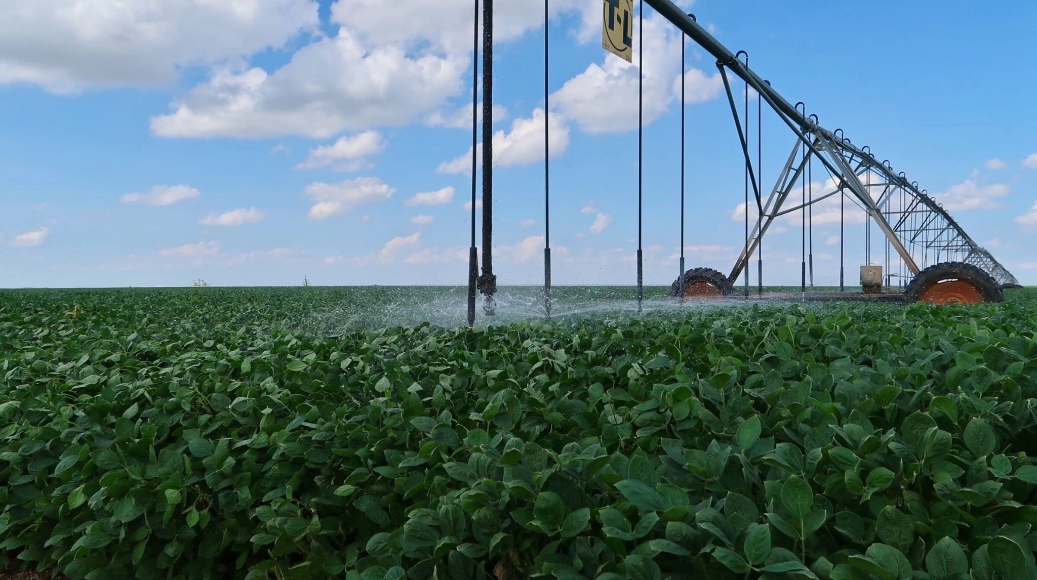 Southwest Family Farms irrigation field