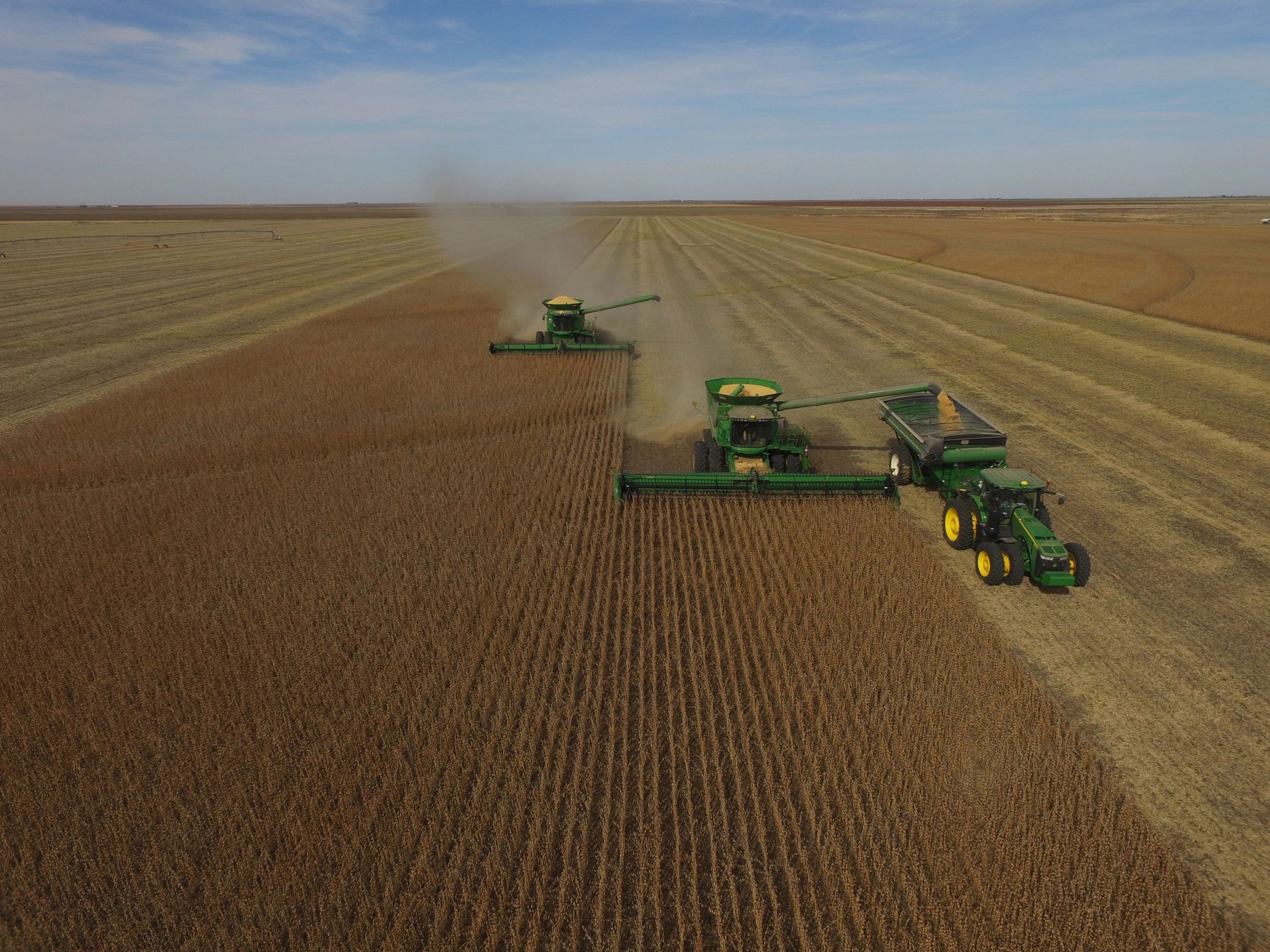 Aerial view of combine harvesters harvesting grain field